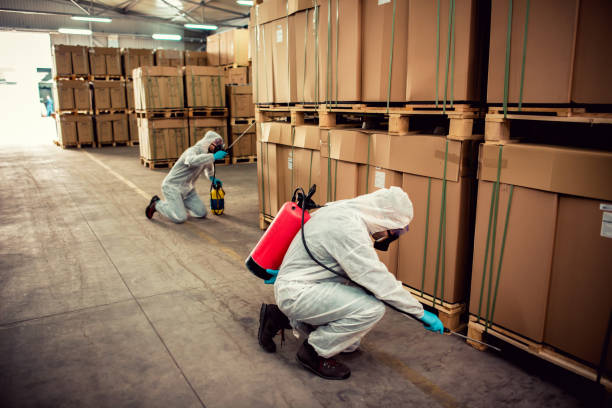 Best Ant Control Services  in Centreville, MI
