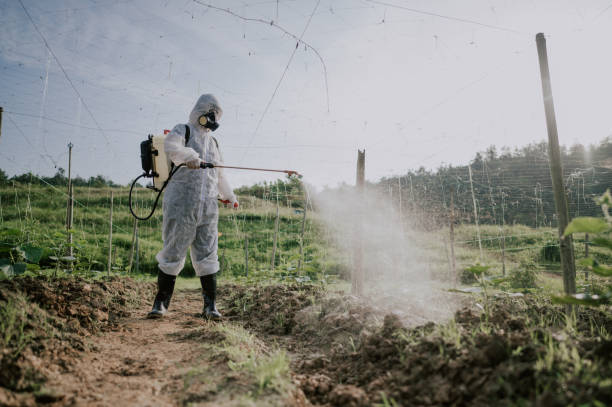 Best Pest Removal Services  in Centreville, MI