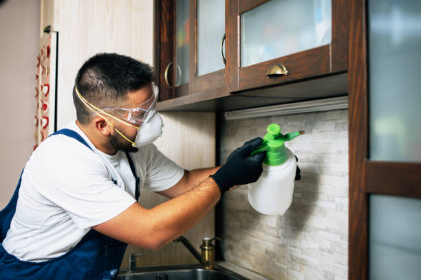 Best Exterminator Services  in Centreville, MI