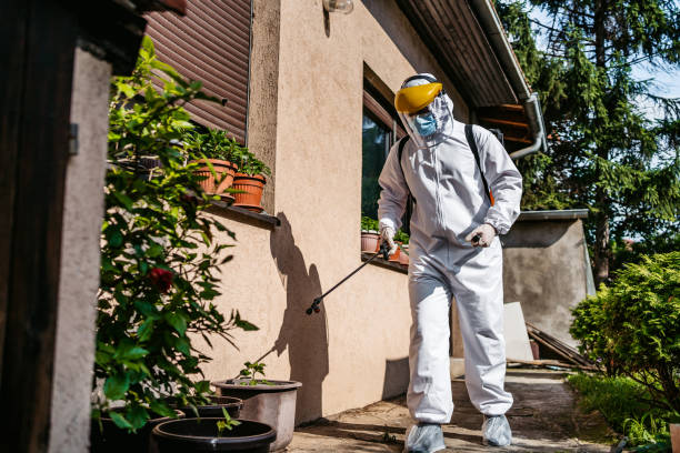 Best Affordable Pest Control Services  in Centreville, MI