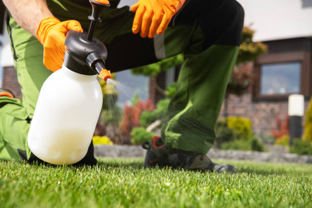 Best Cockroach Control Services  in Centreville, MI