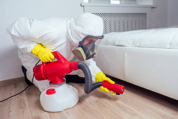 Best Rat Extermination Near Me  in Centreville, MI