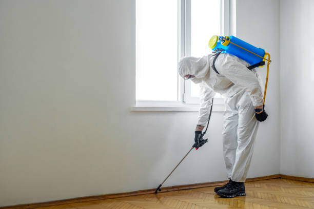 Best Pest Control for Homes  in Centreville, MI