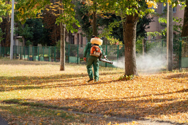 Best Best Pest Control Companies  in Centreville, MI