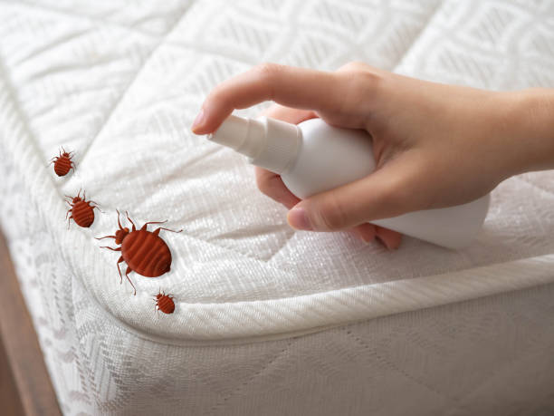 Best Pest Removal Services  in Centreville, MI