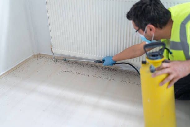 Best Wasp Removal Services  in Centreville, MI